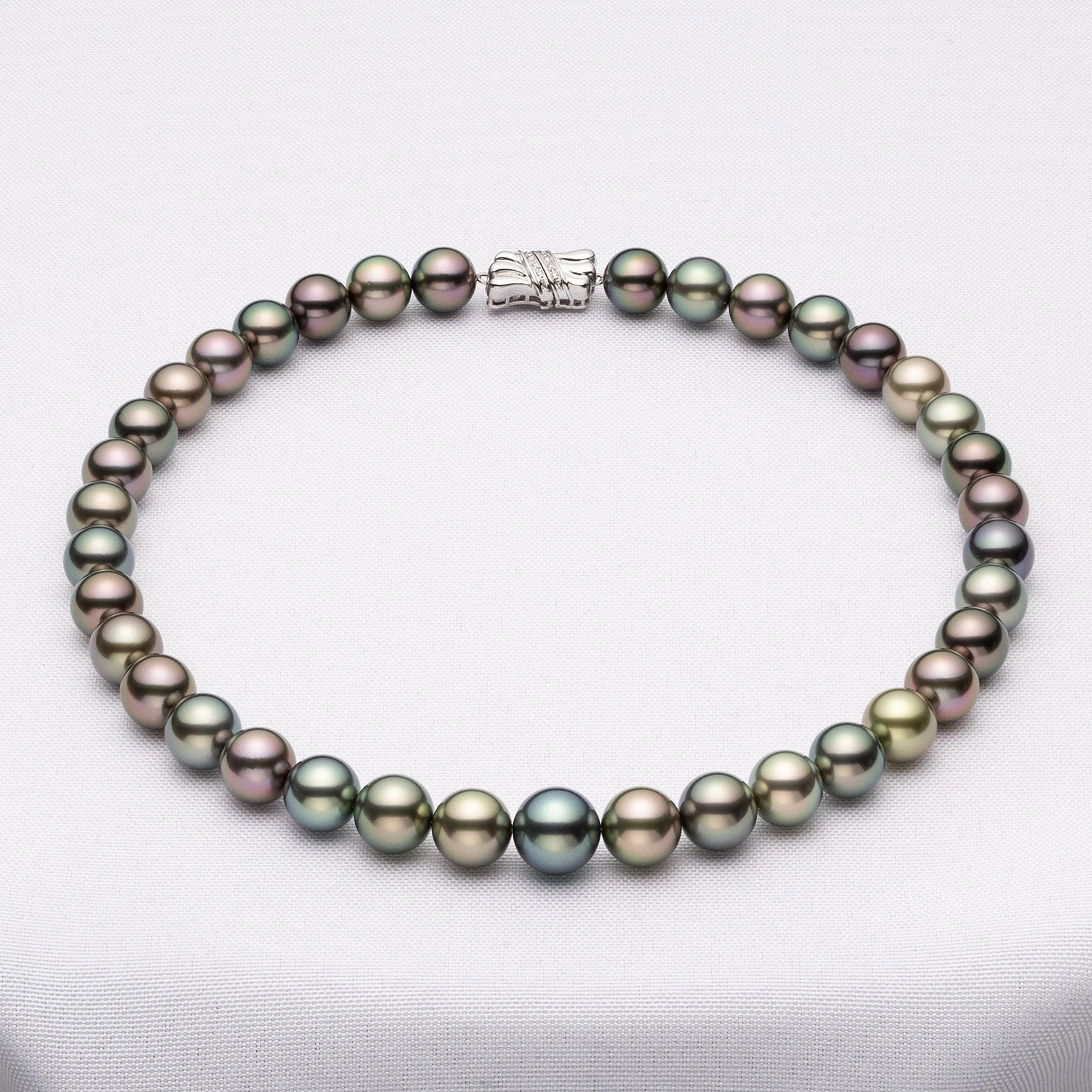 20250313_1_bbeb7e3e-9da8-4505-