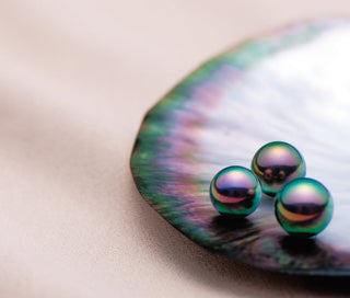 札幌三越　～秋の黒蝶ネックレスフェア～