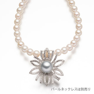 黒蝶パールブローチ 11.7mm