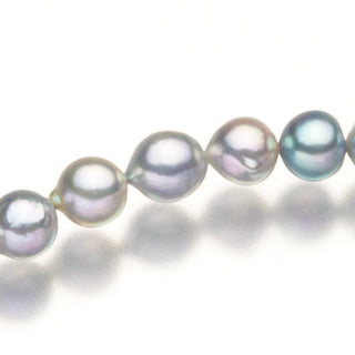 [nonbinary] Akoya pearl necklace 7.0mm