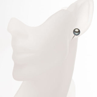 黑蝴蝶珍珠耳环 9.0mm