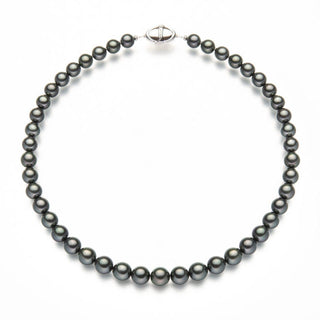 Black butterfly pearl necklace 8.0-10.0mm Economy